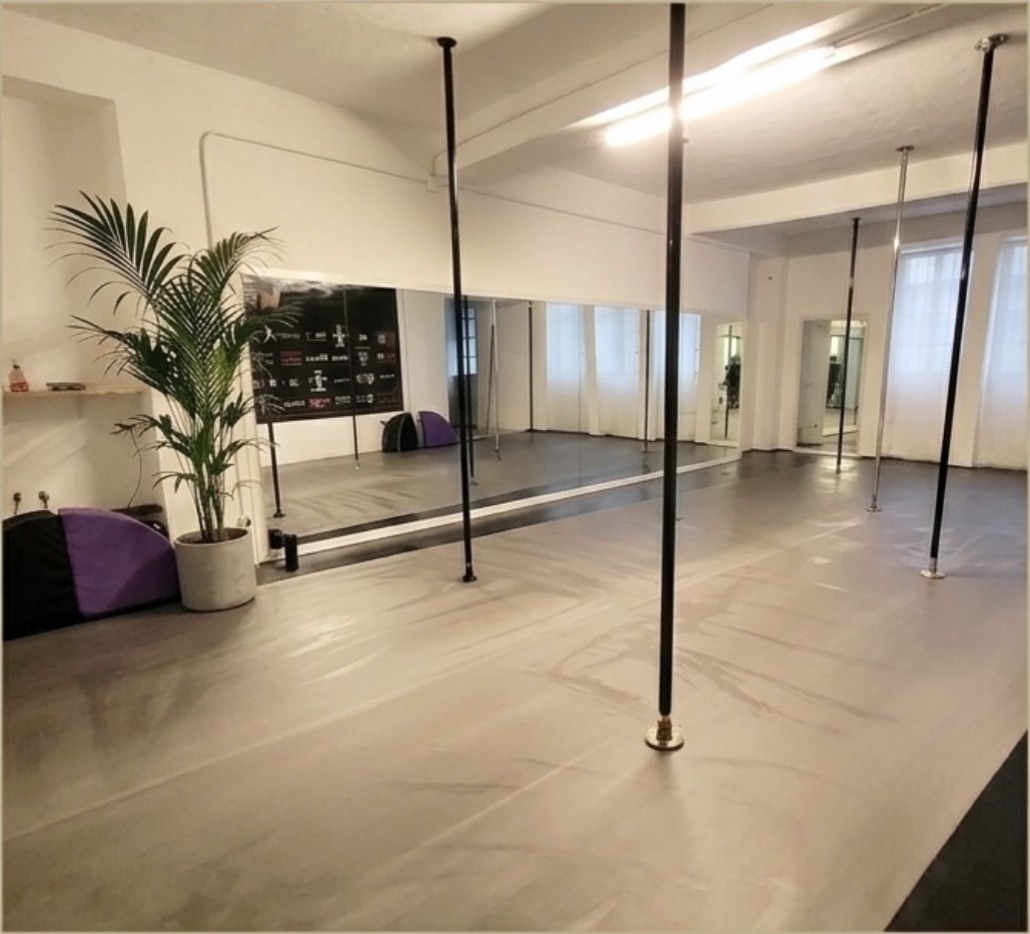 La sala di allenamento Virtude: pali di pole dance, specchi e materassini di protezione